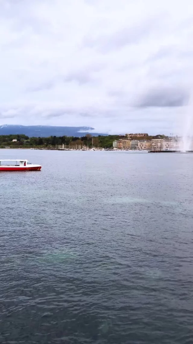 A Genève il n'y a pas que le jet d'eau à découvrir et qui monte haut. Ce qui monte haut, dans notre estime, ce sont les jeunes créatifs qui imaginent une mode différente, éco-responsable et durable. 
Comme par exemple @LundiPiscine dont les modèles sont à découvrir chez le Grand Magasin, un lieu qui accueille des marques éco-responsables et impliquées destinées au vestiaire féminin. 
La créatrice Lucie G. qui a fondé dans cette ville suisse le studio de création textile Lundi Piscine est passée par la HEAD de Genève et essaime sa mode colorée et upcyclée dans différentes villes, à Genève, à Zurich, après avoir fait un petit tour par Paris chez Heureux les Curieux, ou j'ai eu le plaisir de la découvrir et qui a attiré également l'attention de @patricia_lerat_plc ;)  @lundi.piscine
@legrandmagasin  @heureuxlescurieux
@HEADGENEVE  #modedurable #slowfahion #upcycling #conceptstore #lundipiscine #mode #fashion #economiecirculaire #swissclothing #unisexe #couleur #sportwear #serigraphie #streetwear